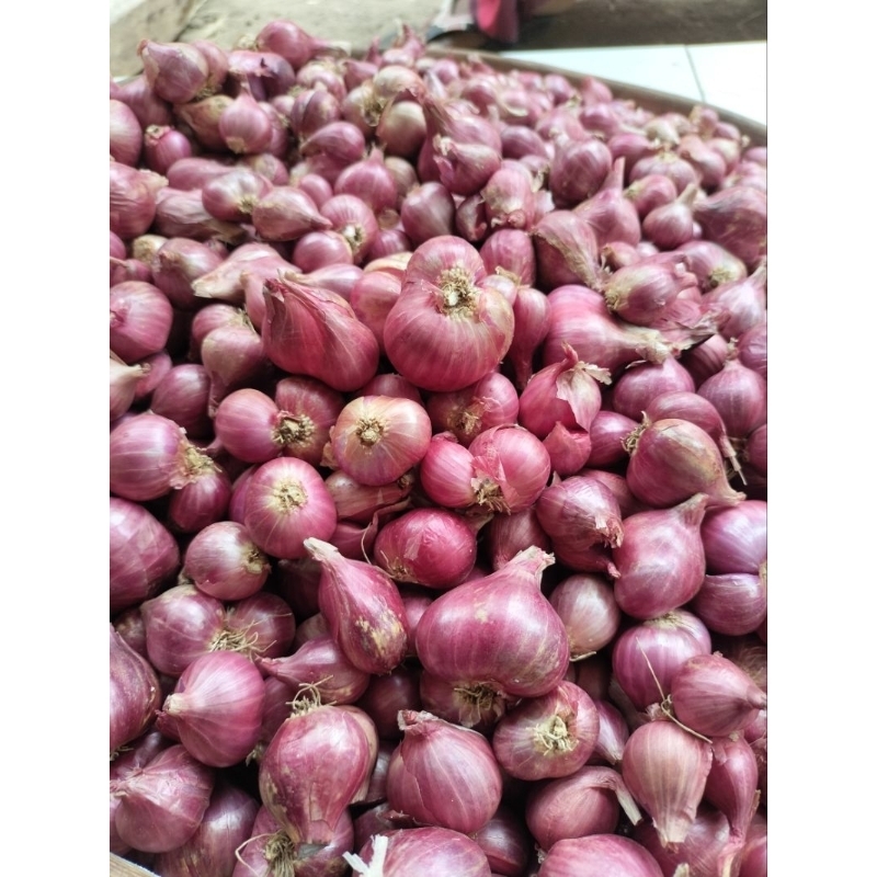 

Bawang Merah Protolan Campur 1kg || Khas Probolinggo