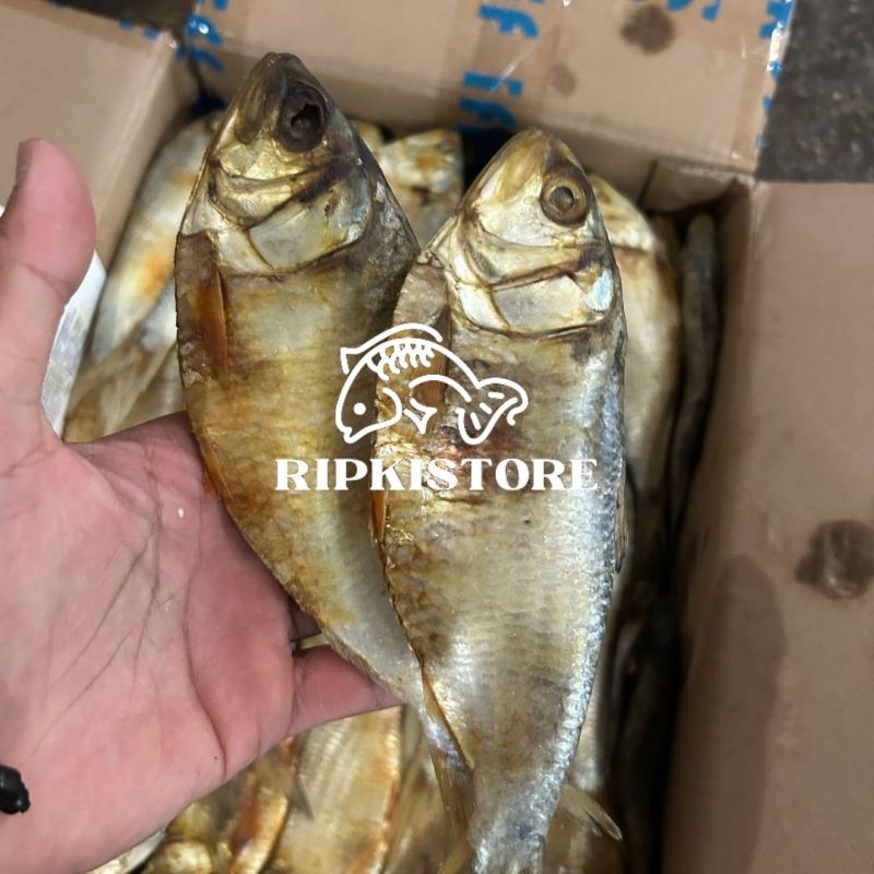 

Ikan Asin Belo 500gr