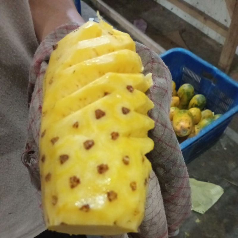 

Nanas Sunpride mini Kupas