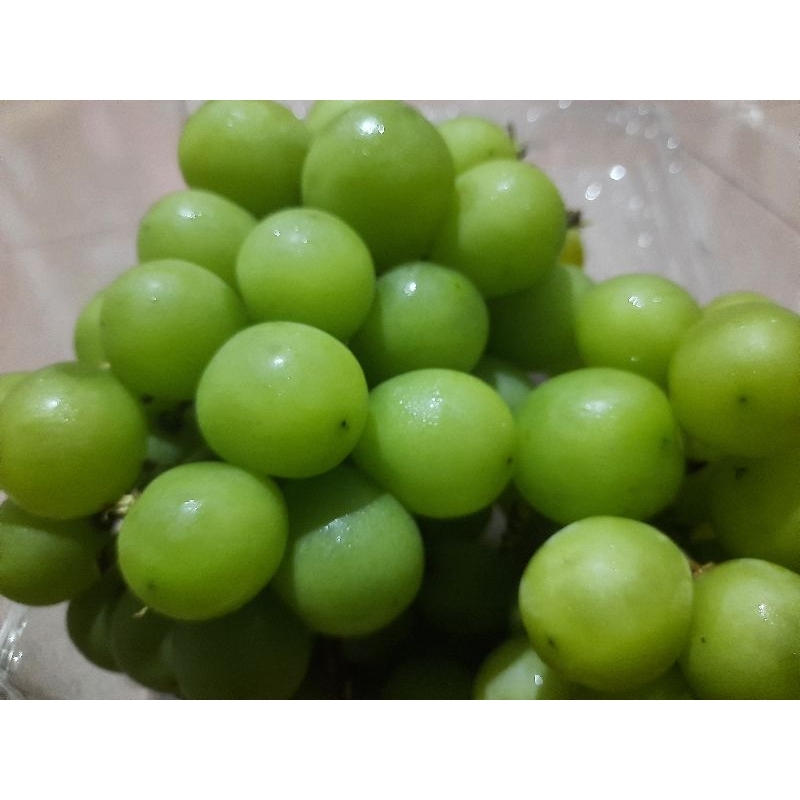 

Anggur Hijau Shine Muscat Seedless Manis