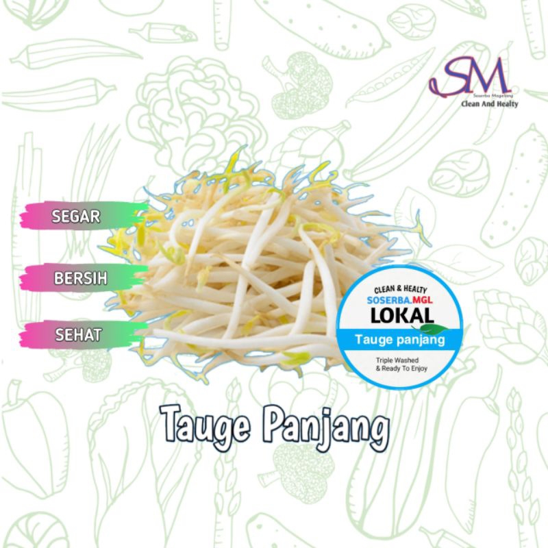 

Tauge Panjang termurah