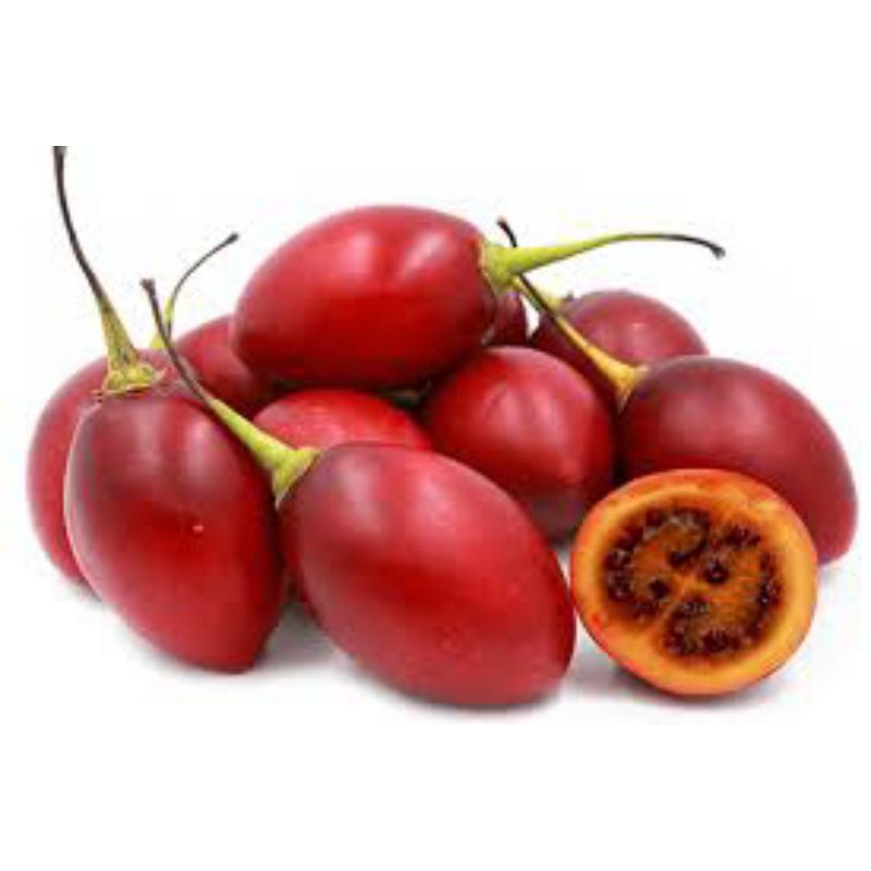 

terong Belanda berat 1kg