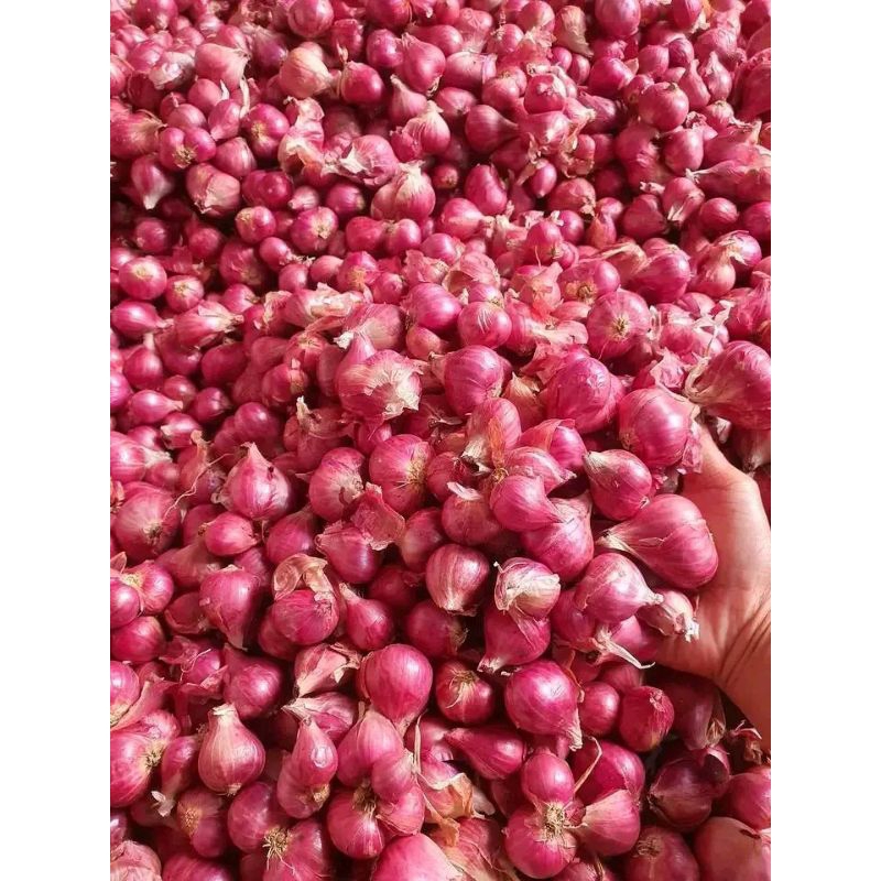 

bawang merah super Nganjuk kemasan 1Kg