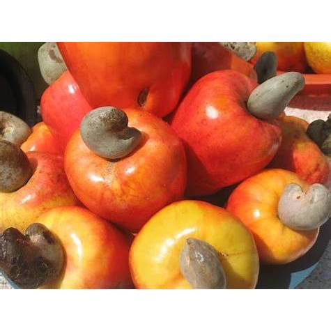 

Jambu Mede/Jambu Monyet 1 Kg