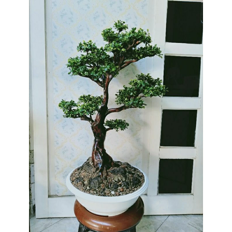 DAUN BONSAI SINTETIS/DAUN BONSAI DOLAR ISI 10 PCS