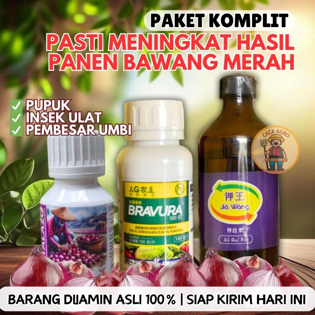 Paket Komplit Pertanian Bawang Merah: Pupuk Kalium, Silika, Insektisida Ulat, & Pembesar Umbi Bawang
