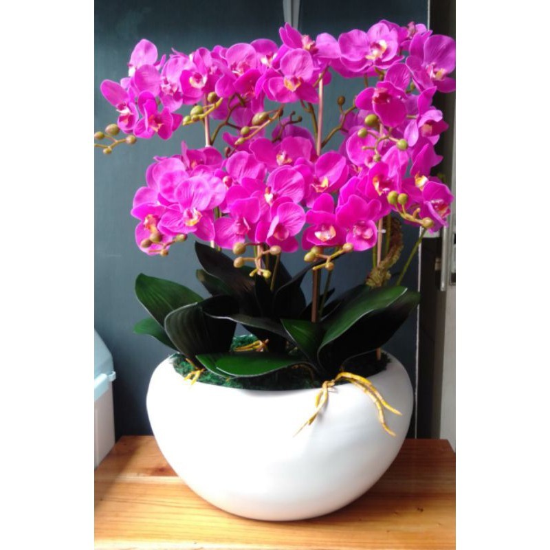 dnd POT CENDOL / vas bunga / vas anggrek / pot fiber /Pot vas bulat bunga anggrek fiber dekorasi