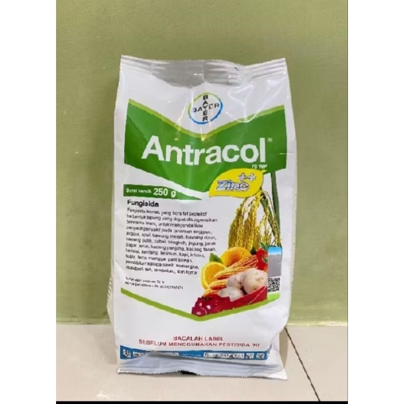 antracol 70wp 250gram