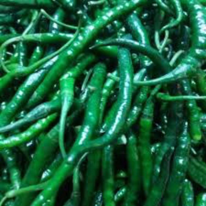 

cabe hijau segar 250 gr