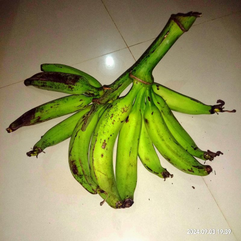 

[Jadwal cek stok dikebon hari minggu] [PO] Pisang Tanduk Kecil - Dijual Satuan - 1 Biji Rp. 5000