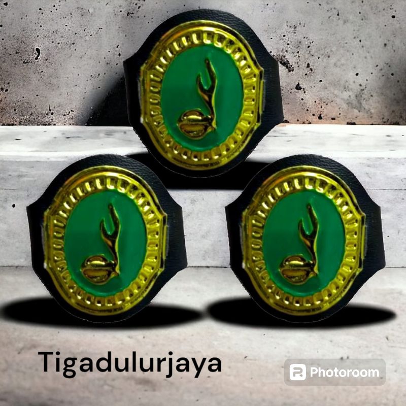 Ring kacu hasduk pramuka siaga