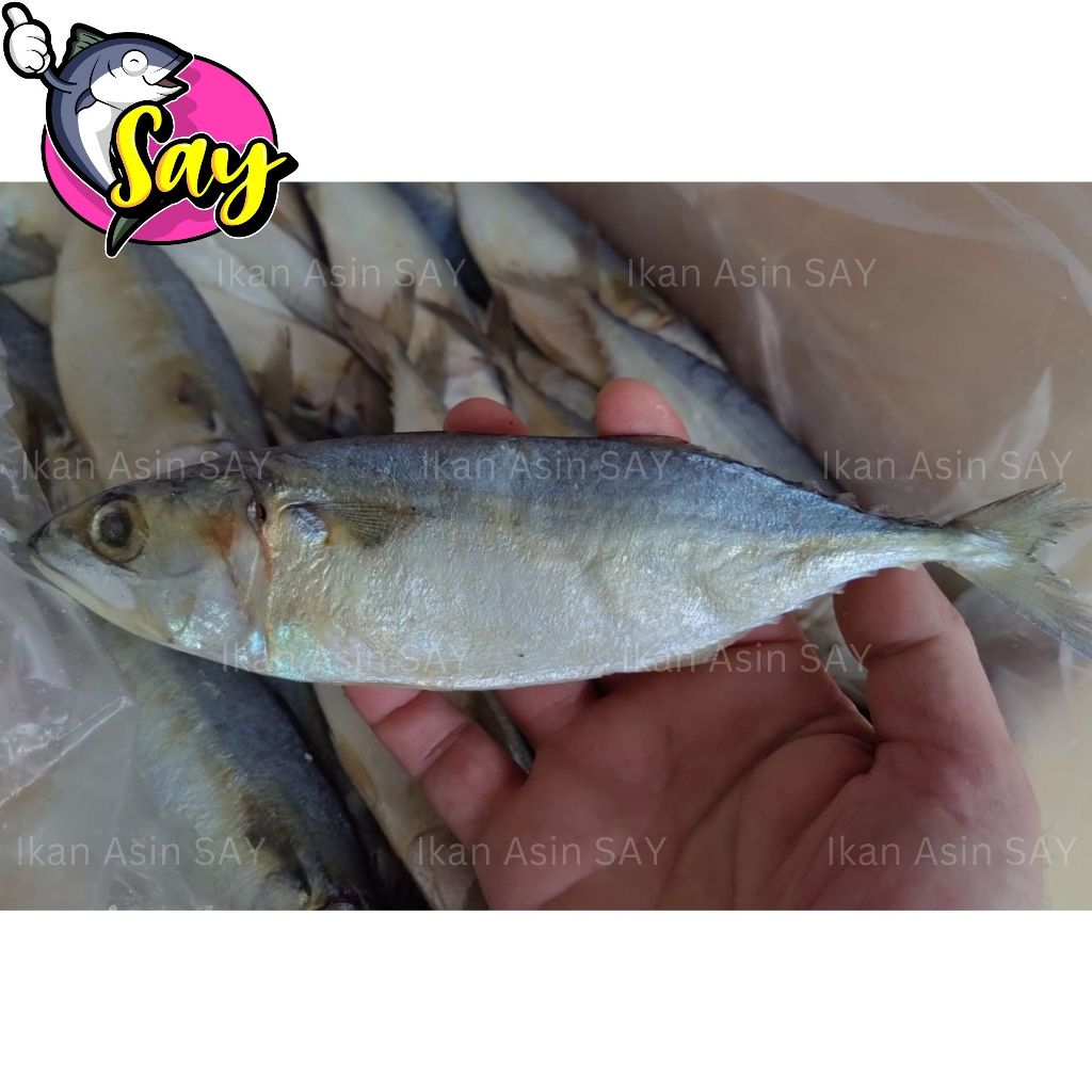

Ikan Asin Peda Banjar Besar 1 kg