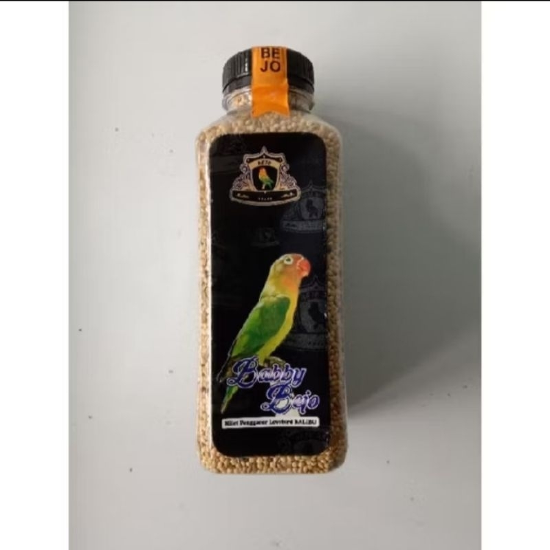 pakan bejo paud milet Lovebird harian sampai lomba merangsang burung lb rajin bunyi durasi ngekek pa