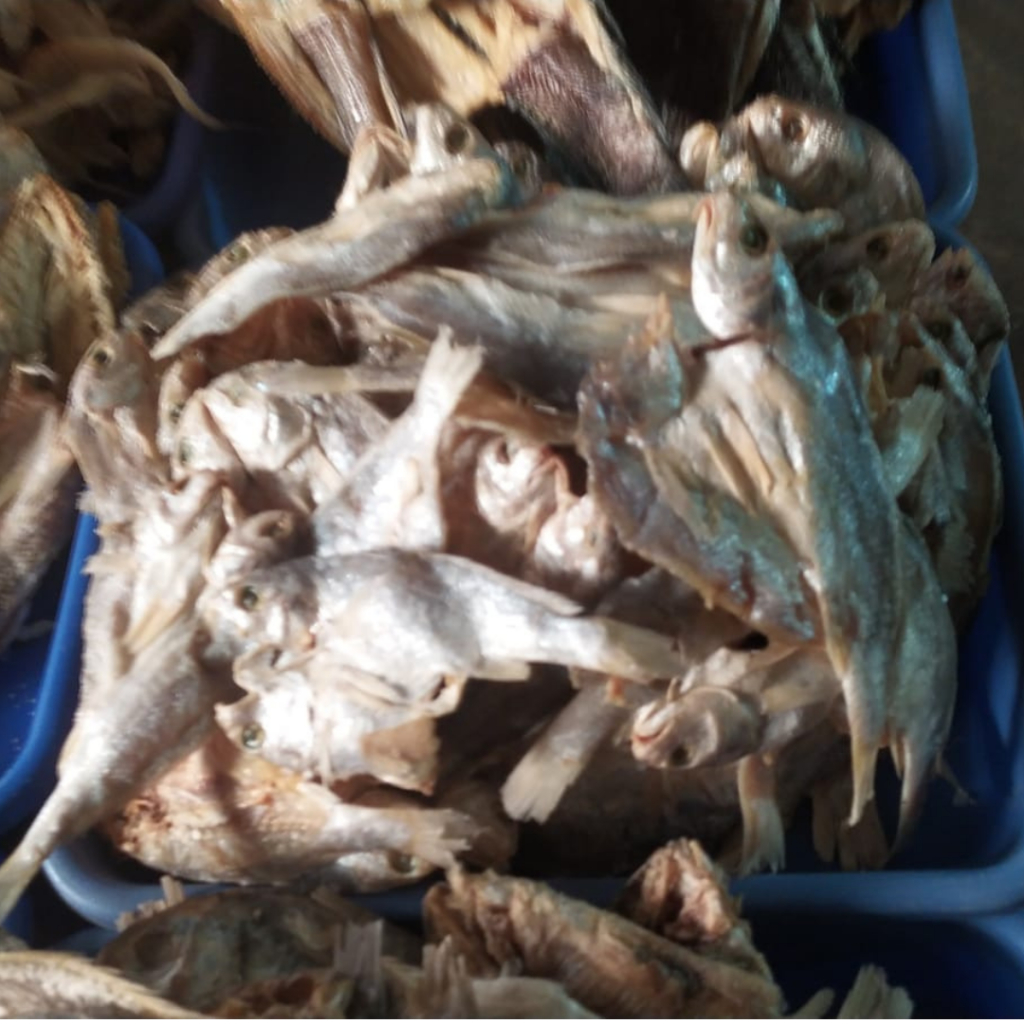 

Ikan Asin Kepala Batu 100gr