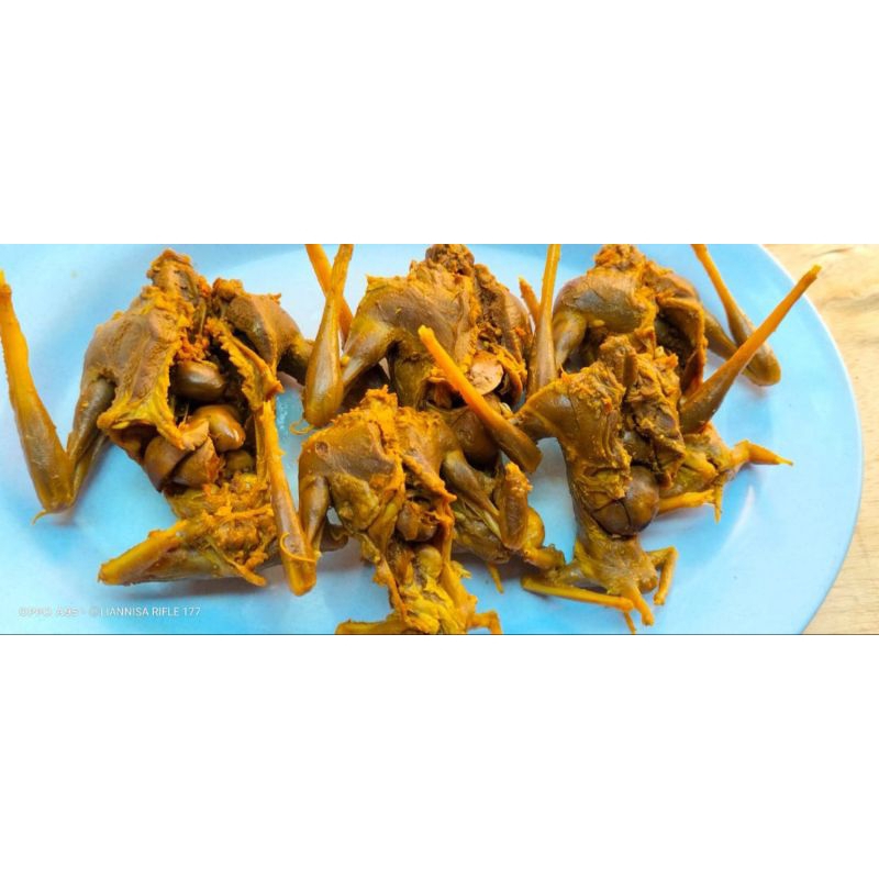 

DAGING KELELAWAR ATAU CODOT UNGKEB PER 5 EKOR SIAP GORENG DAN BAKAR