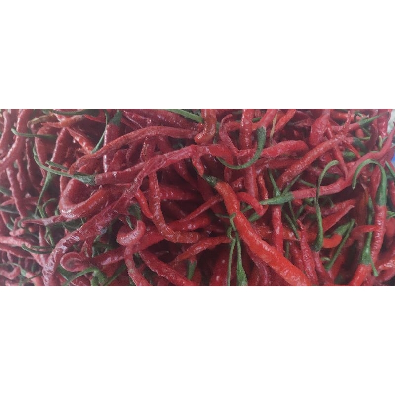 

kriting merah 100g