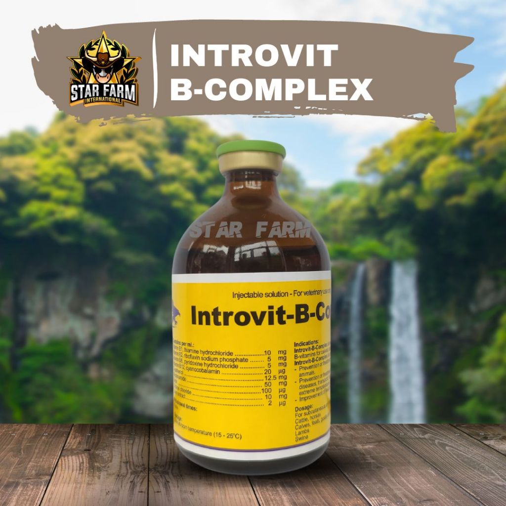 Introvit B Complex - Star Farm