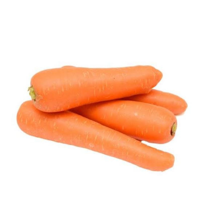 

Wortel | Rotol | Carrot