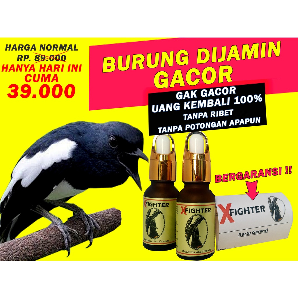 XFIGHTER VITAMIN X FIGHTER SUPLEMEN PENGGACOR BURUNG MURAI KACER C IJO LOMBA BERGARANSI