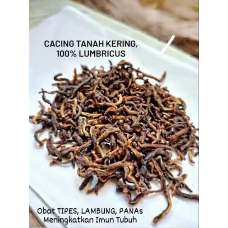 

Cacing Tanah Kering 15 Gram Obat Herbal Tipes Termurah