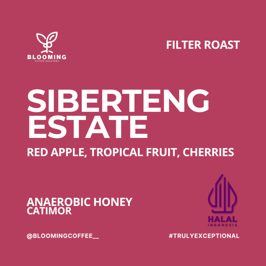 

Siberteng Estate Tanah Karo | Filter Roast | Blooming Coffee Biji Kopi Arabica