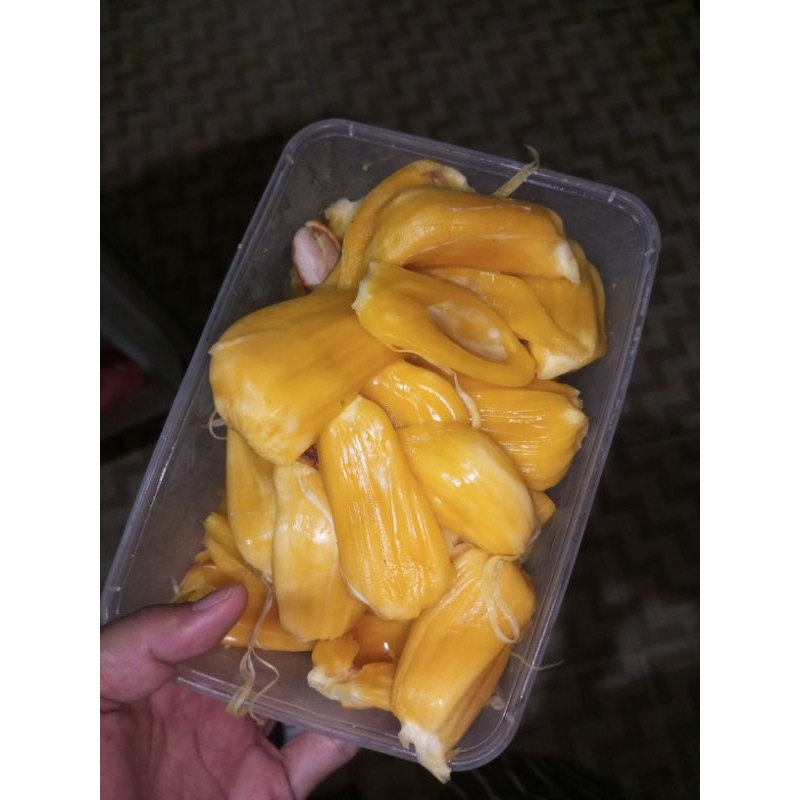 

BUAH NANGKA MASAK MANIS/NANGKA MANIS FRESH