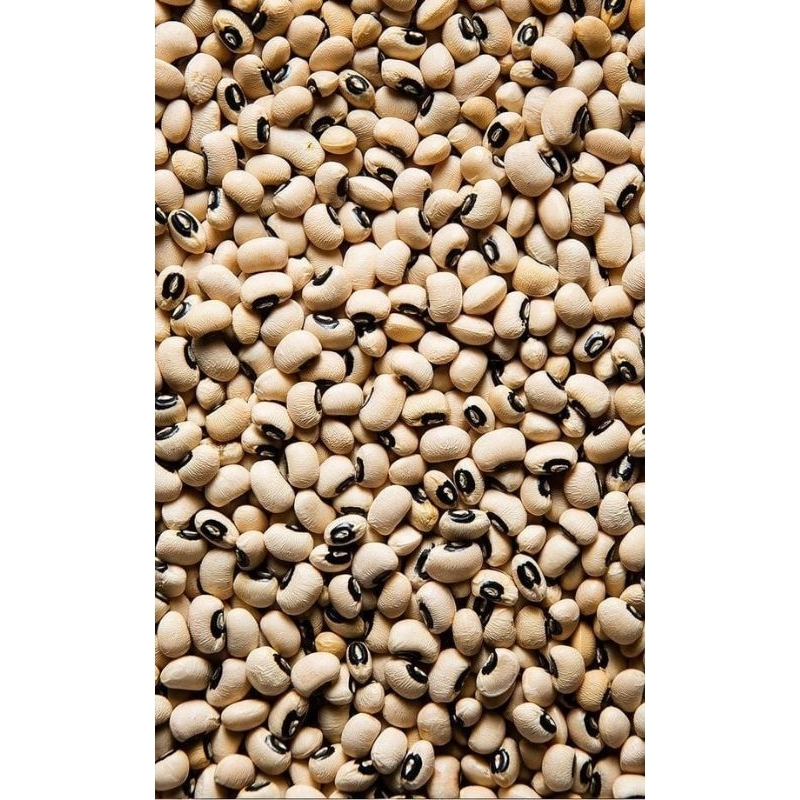 

Black Eye Bean / Lobia 1kg
