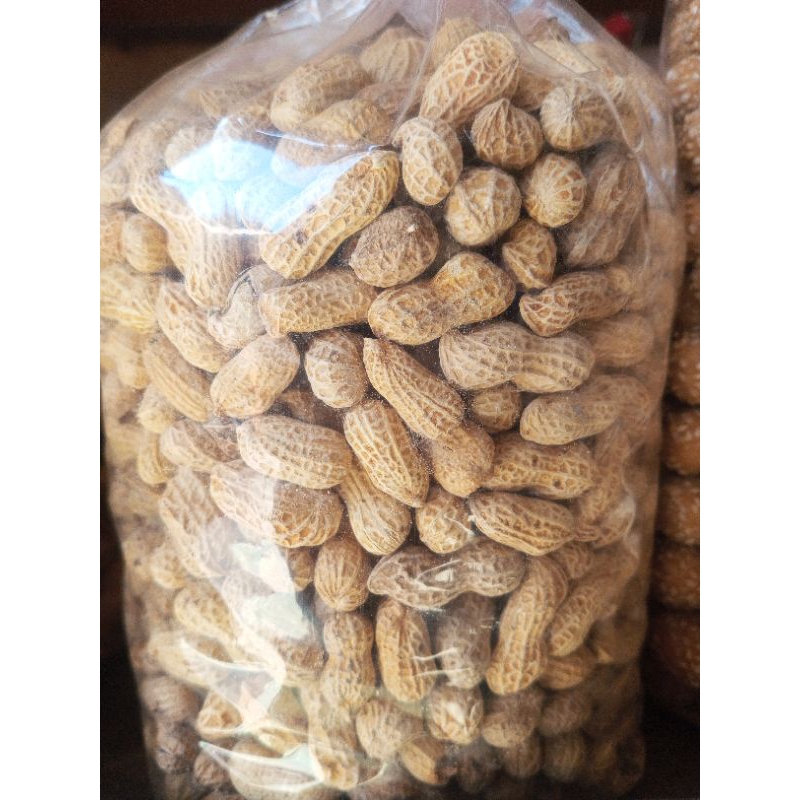 

KACANG KULIT ASIN RASA BAWANG PREMIUM