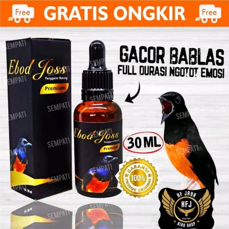 Ebod joss premium original