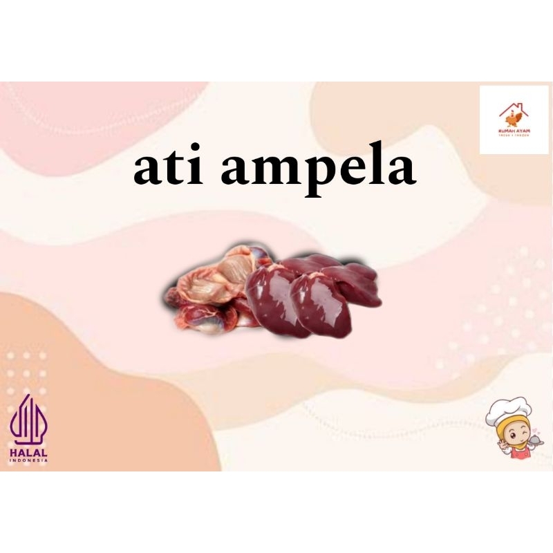 

ATI AMPELA AYAM(BERSIH)