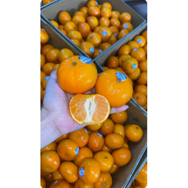 

jeruk murcot manis 1box 5kg
