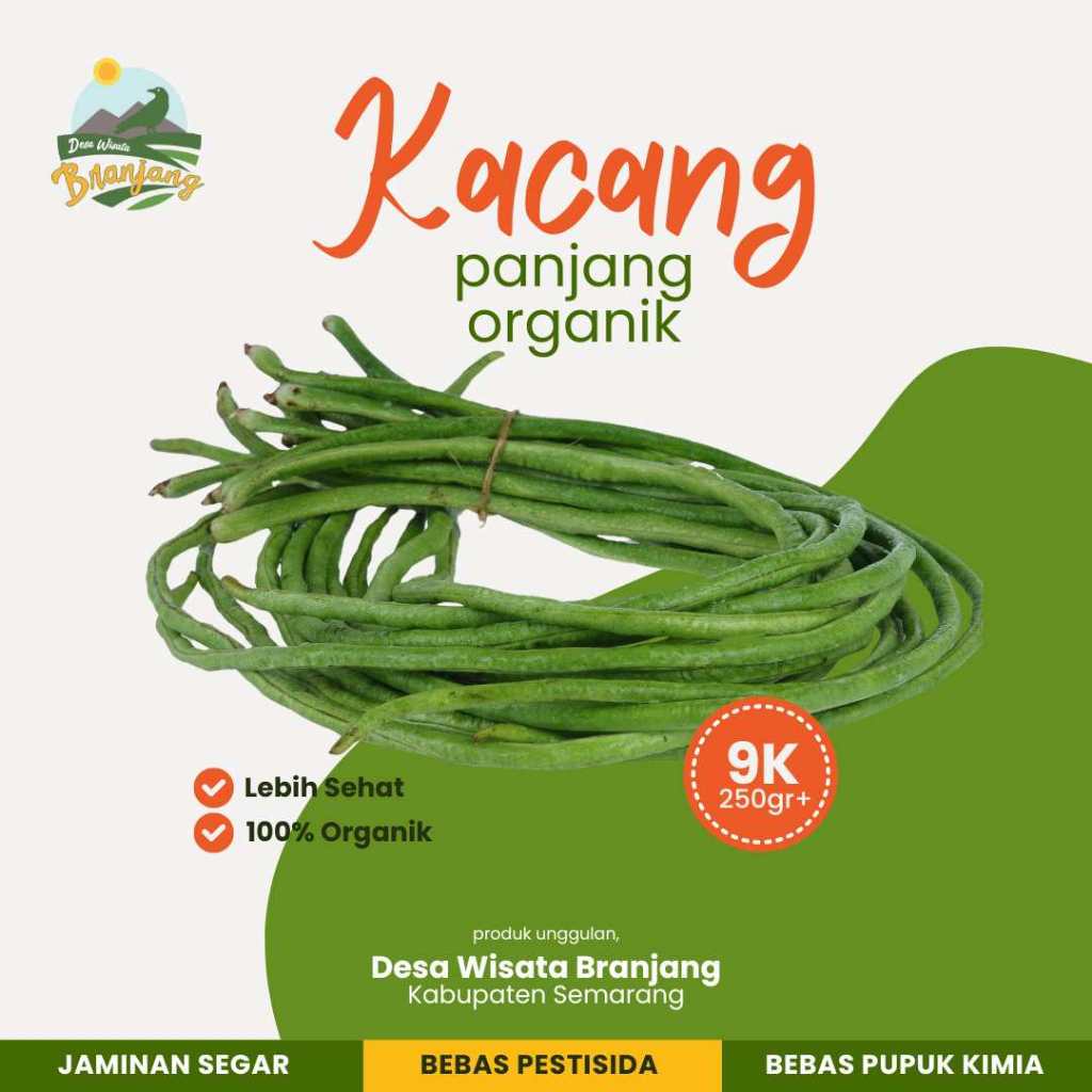 

Kacang Panjang Organik 250 Gram +