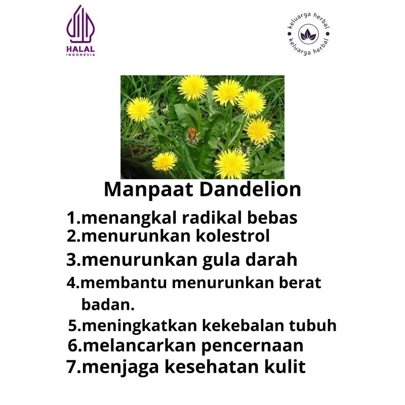 

TEH DANDELION : TEH DAUN DANDELION : TEH KOLESTEROL : TEH DIET ISI 30 TEABAG