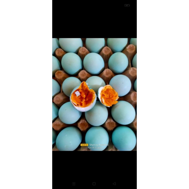 

terus asin masir/salted egg