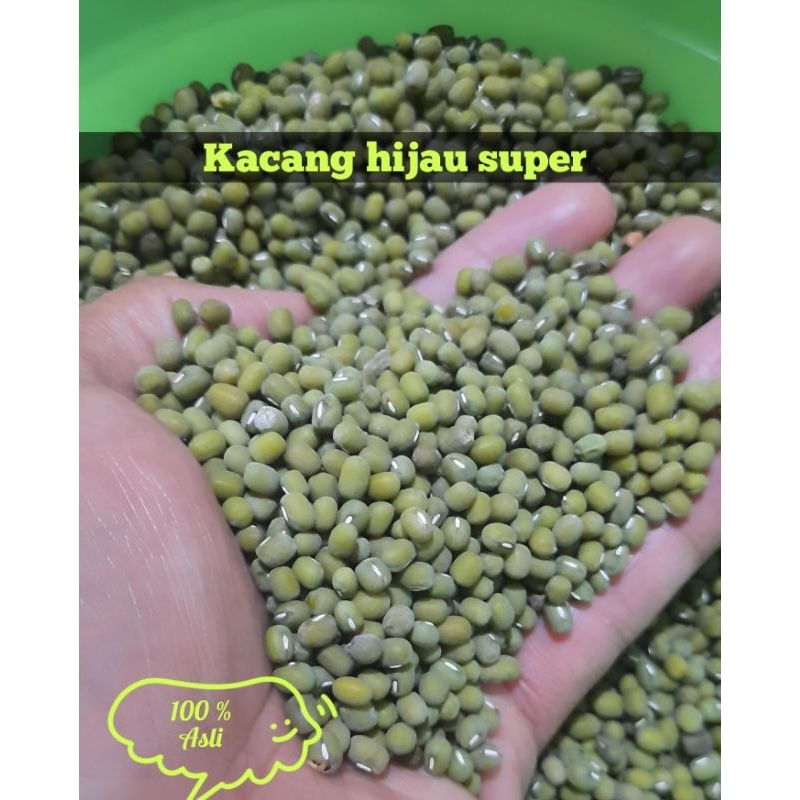 

500gram kacang hijau super kacang bubur