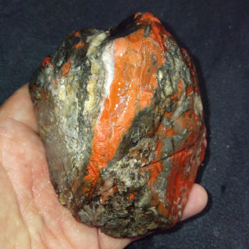 Original Batu Akik Pancawarna Lawas