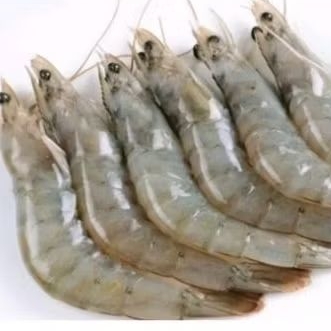 

Udang Vaname Segar 500 GR