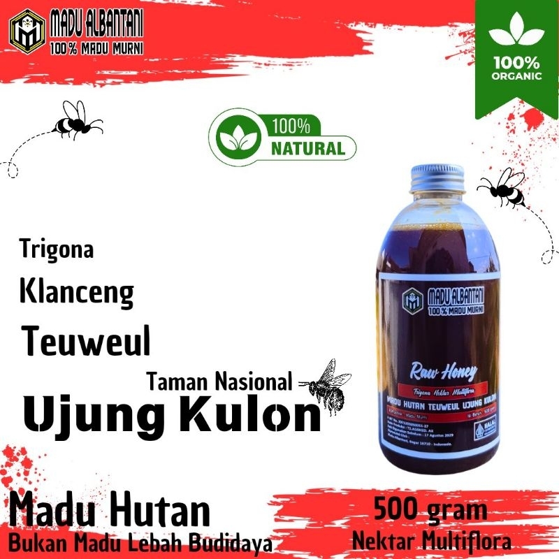 

Madu Trigona / Klanceng / Teuweul Hutan Ujung Kulon 100℅ MADU MURNI 500 Gram