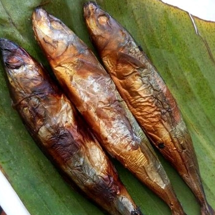 

Ikan Panggang Layang khas pekalongan isi 5 ekor