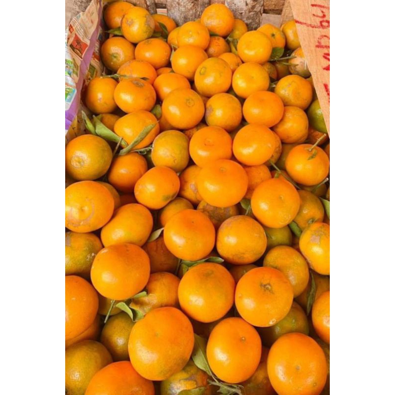 

Harga Promo Jeruk Segar 1kg