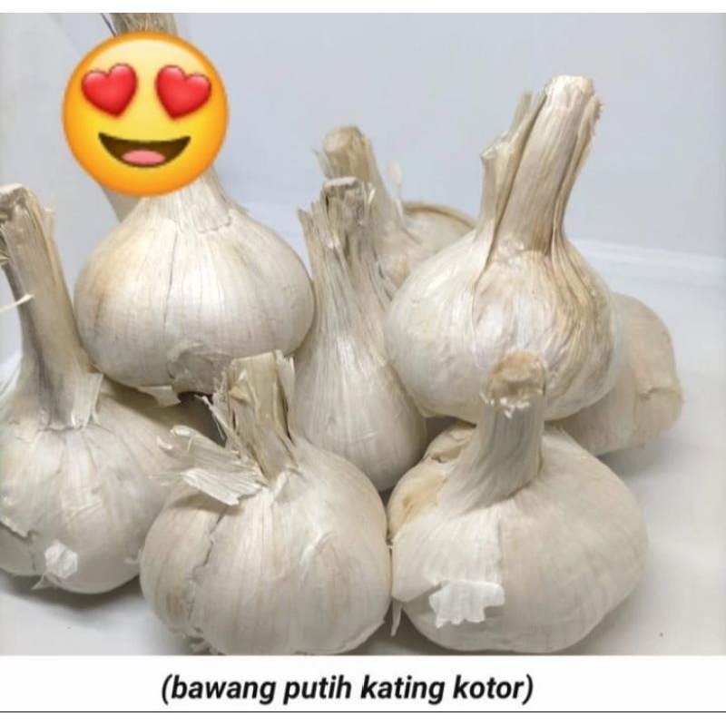 

TERMURAH!! BAWANG PUTIH KATING KOTOR 500GRAM