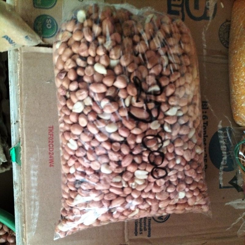 

Kacang Tanah