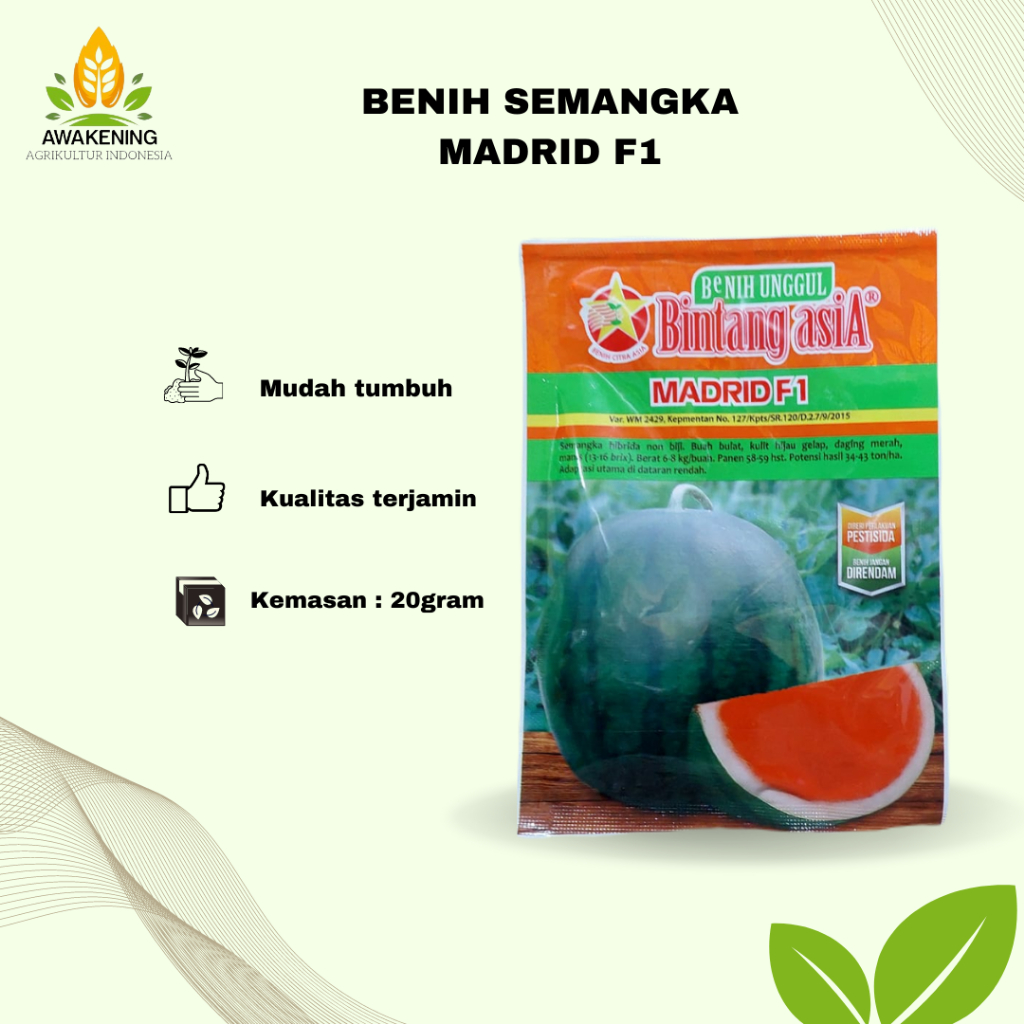 BENIH SEMANGKA MADRID F1 20 GRAM BINTANG ASIA