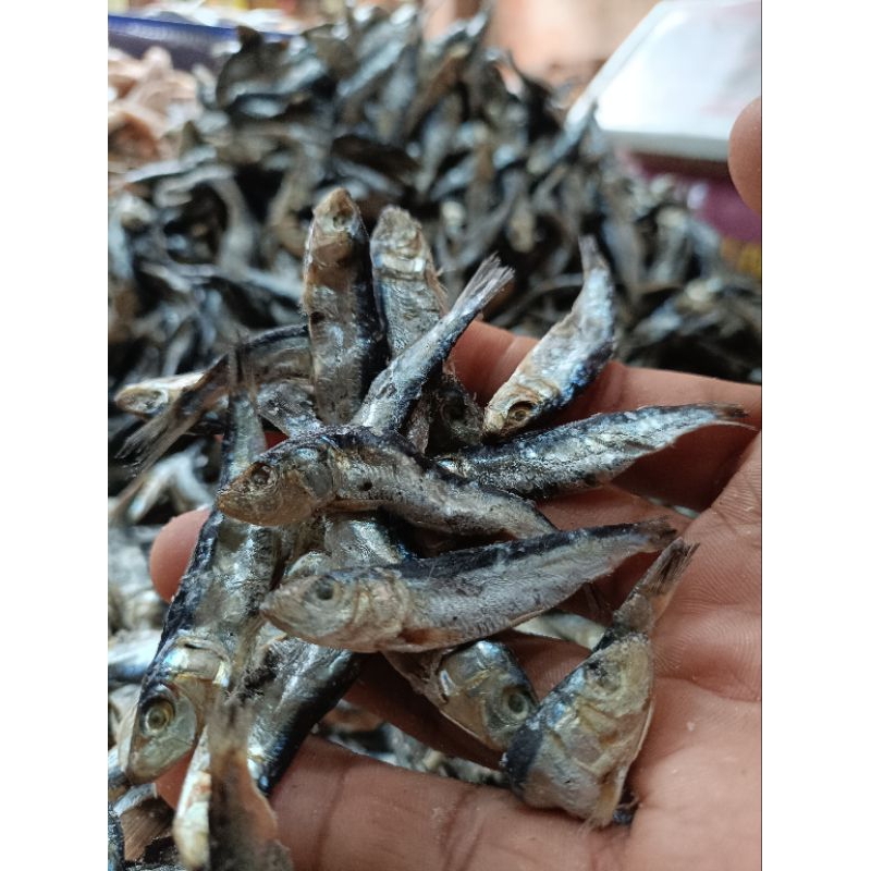 

IKANASIN TERILAYANG , IKAN ASIN TERILEMET/SAMENIT .IKAN ASIN TERI KERING; 1000gr.