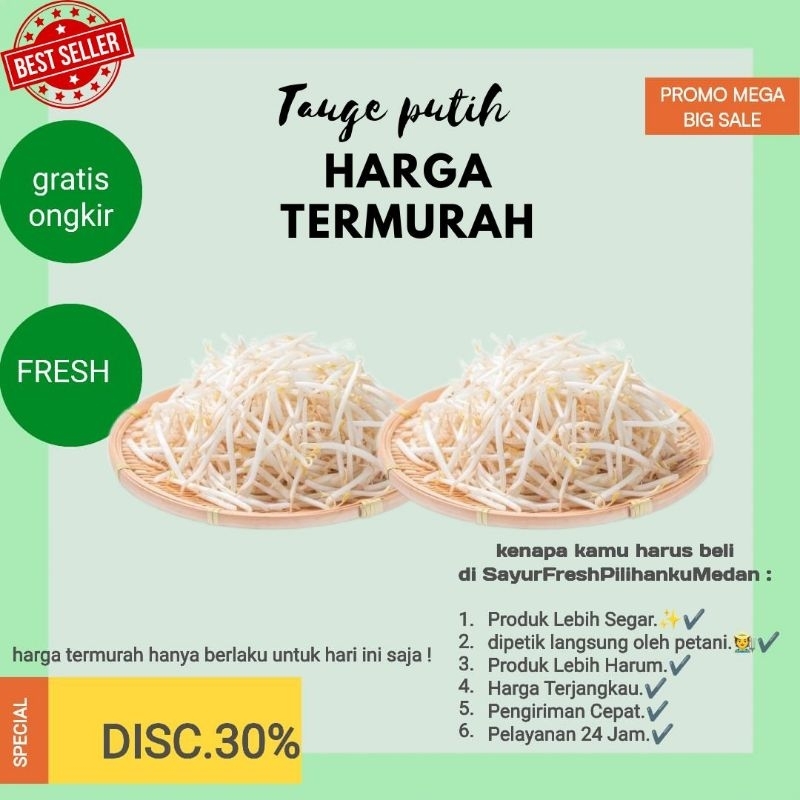 

sayur taoge putih termurah lebih cantik,segar dan bersih | siap kirim sekota Medan | gratis ongkir termurah sayur segar medan