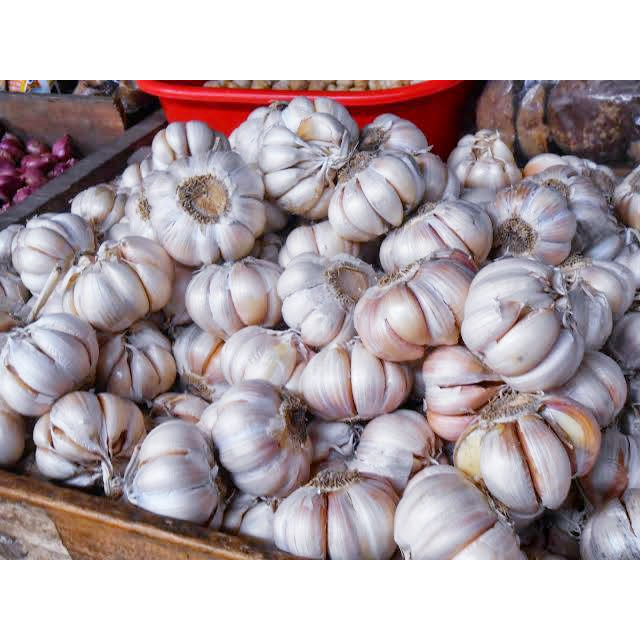 

bawang putih asli garut segar 1kg-5kg
