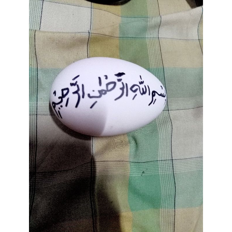 

Telur Angsa Busuk / infertiL