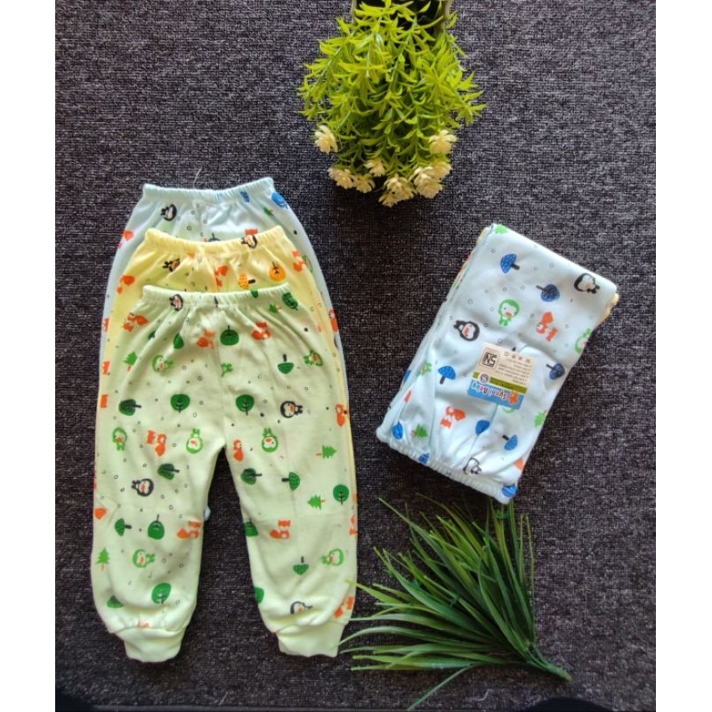 1 lusin celana panjang,celana pendek,celana pop bayi baru lahir