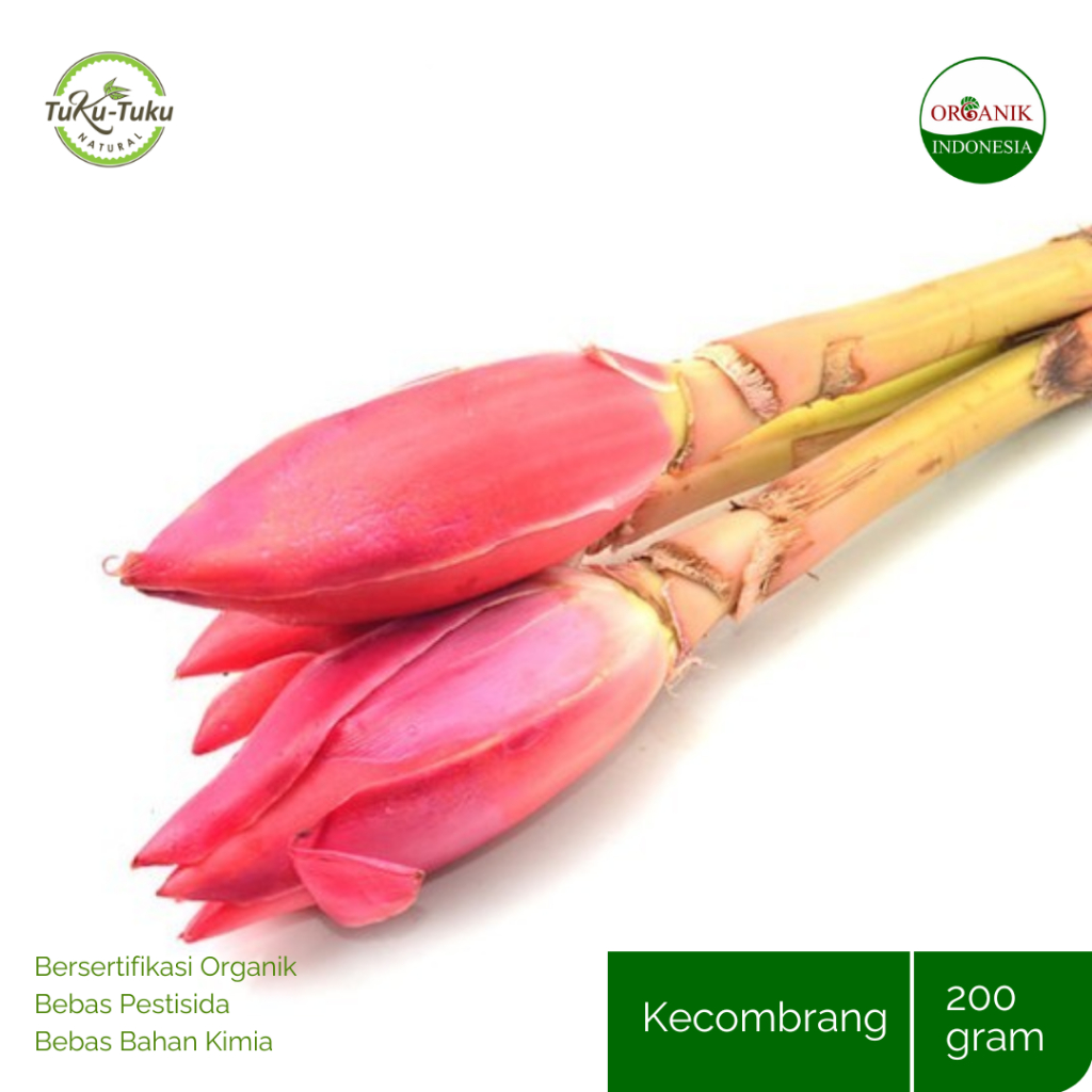 

KECOMBRANG ORGANIK BSP FARM 200GR