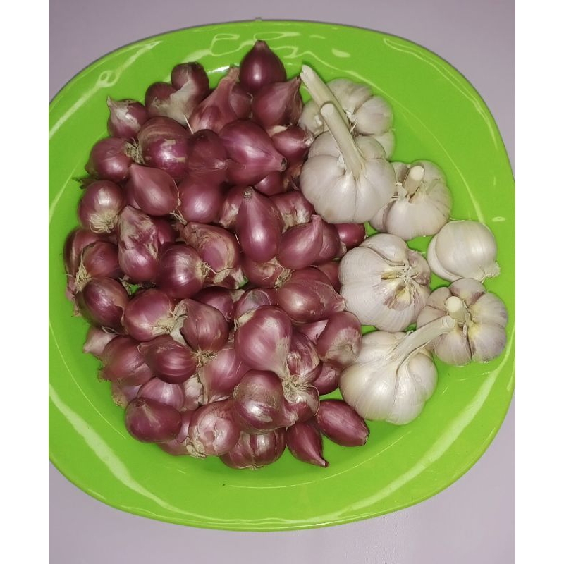 

PAKET 2 ( Bawang Merah 1 kg + Bawang Putih Kating 1/4 kg )